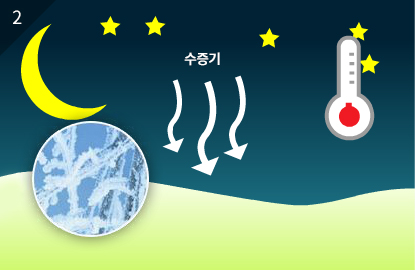 밤에는 기온이 영하로 떨어져 공기중의 수증기가 얼음이 되어 가루모양으로 하얗게 얼어버립니다. 이것이 서리입니다.